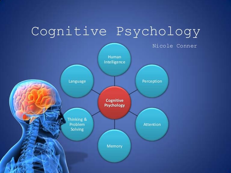 6 components of cognitive psychology (human intelligence, language, perception, thinking and problem solving, attention)