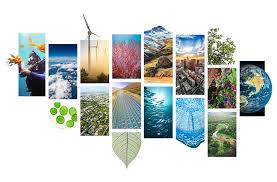 Image of socio-environmental practices and technologies, including: wind mills, scuba divers in the ocean, the planet earth.